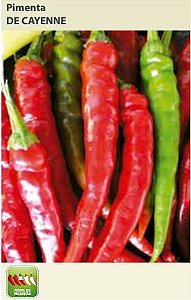 Semnete Pimenta de Cayenne 0,8g