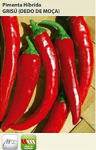 Semente Pimenta Grisu F1 0,1g