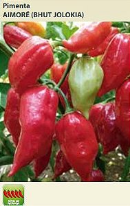 Semente Pimenta Aimore Bhut Jolokia 0,4g