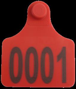 Brinco Grande Vermelho Com Marcacao 01 a 250