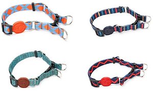 Coleira Wise Dog Beautiful Look G