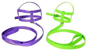 Peitoral Guia Neon Clic 3 - Bicho Com Luxo