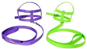 Peitoral Guia Neon Clic 0 - Bicho Com Luxo