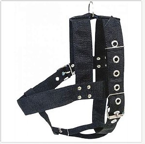 Peitotal Nylon Blucao N.01(blucao)
