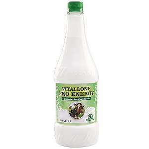 Vitallone Pro Energy 1 L