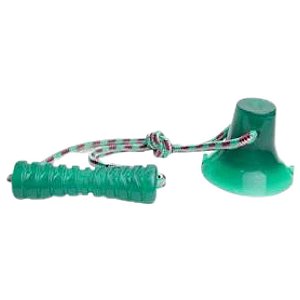 Brinquedo Byte Toys Flex Azul - Pet Maxxx