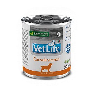 Pate Vet Nat Canine Wet Convalescence 300g