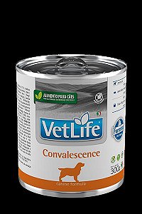 Pate Vet Nat Canine Wet Convalescence 300g