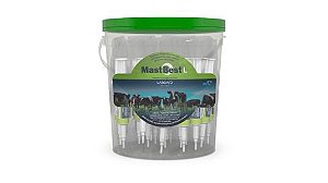 Mast Best L 50sr