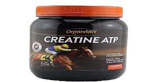 Creatine Atp 500gr