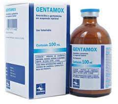 Gentamox Inj 100ml Hipra Amoxicilina e Gentamicina