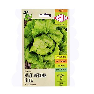Semente Alface Delicia Americana 0,5g