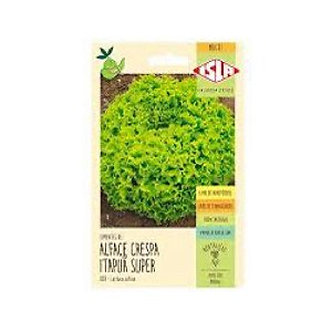 Semente Alface Itapua  0,8g