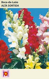Semente Antirrhinum/boca Leao A. Sor 0,3g