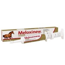 Meloxinew Equinos Gel Seringa 35g Vetnil