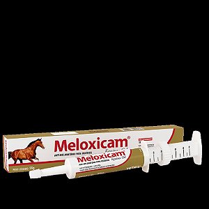 Meloxinew Equinos Gel Seringa 35g Vetnil