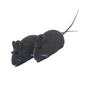 Ratinho Real Preto - Murano