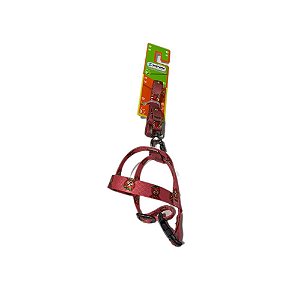 Conjunto Guia e Peitoral Tropical Para  N0 - Murano