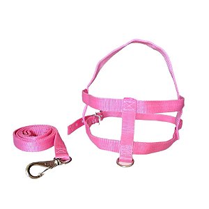 Conjunto Guia/peitoral Simples N.000