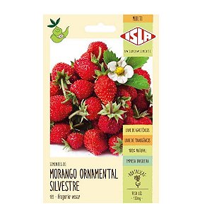 Semente Morango Ornamental Silvestre 0,13g