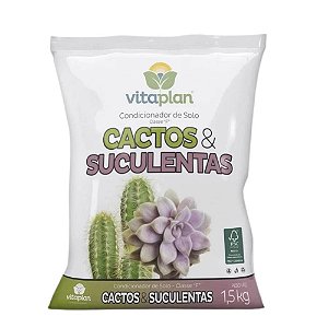 Terra Especial Para Cactos e Suculentas 2kg - Cassul