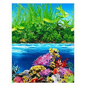 Fundo Aquario Doce/marinho 30cm