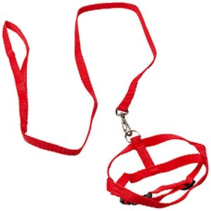 Conjunto Guia/peitoral Reg.Nylon em X N.02