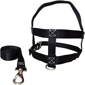 Conjunto Guia/peitoral Reg.Nylon em X N.03