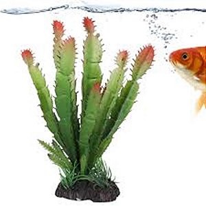 Planta P/ Aquario Cactus