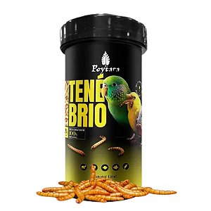 Racao Tenebrio 40g - Poytara
