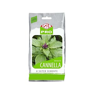 Semente Manjericao Cannella 1g