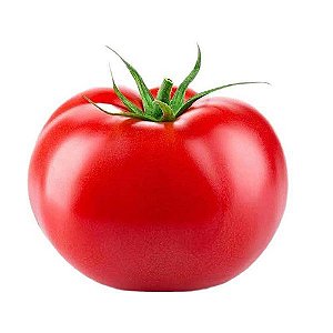 Muda Tomate Hib Longa Vida Compack Pote