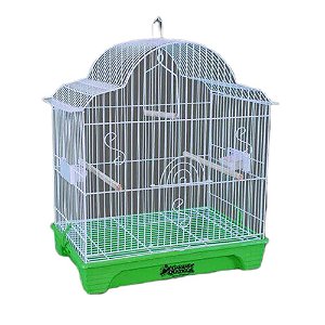 Gaiola Mexicana e B-3 Verde