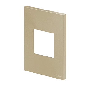PLACA P/ 2 MODULOS JUNTOS COM SUPORTE 4X2 - RECTA AREIA SATIN FOSCO