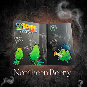 Northern Berry - Automatica