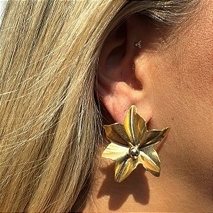 BRINCO FLOR CHAPADA