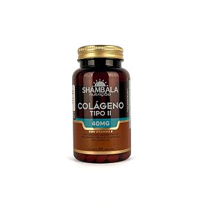 Colágeno Tipo II com VIT. E 30 cáps - Shambala