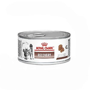 Ração Úmida Royal Canin Recovery para Cães e Gatos em Recuperação 195 g