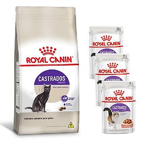 Royal Feline Gatos Adultos Castrados 10,1 kg Compre e Ganhe 3 Sachês Gatos Adultos Castrados 85 g
