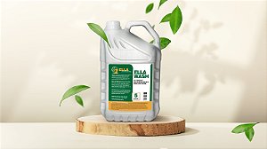 ELLA WASH - DETERGENTE DESENGORDURANTE DE USO GERAL