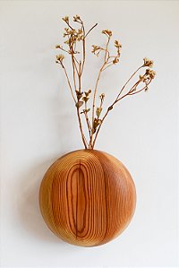 Vaso órbita em Pinho de Riga