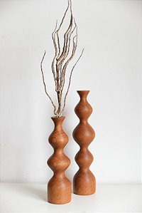 Duo de vasos sinuosos