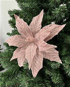 POINSETIA ROS (FLOR CABO CURTO)