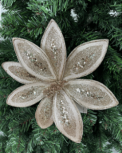 Poinsetia Decorativa Champanhe