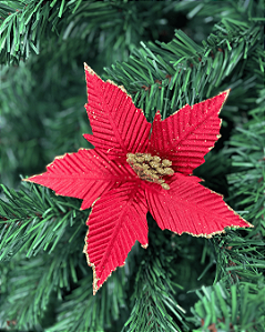 H.BICO PAPAGAIO (VERMELHO) 23cm
