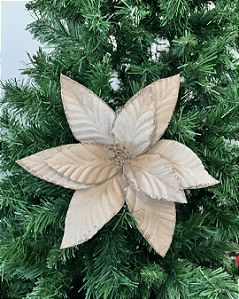 H.BICO DE PAPAGAIO NATAL AVELUDADO (CHAMPANHE) 25cm 33d