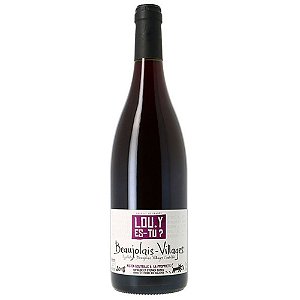 Mathilde Et Stephen Durieu Lou. y Es-Tu? Beaujolais Villages 2020