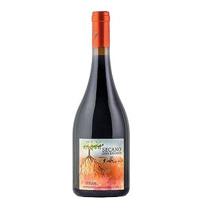 Polkura Syrah Secano (Dry Farmed) 2020