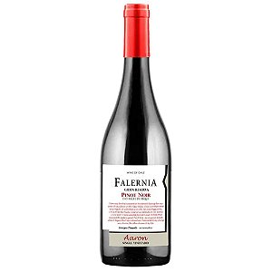 Falernia Pinot Noir Gran Reserva Aaron Single Vineyard 2019 "Compre 4 e ganhe 1"