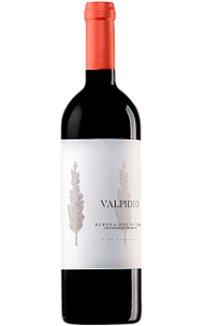 Vinho Tinto Bodegas Casajus Valpidio
